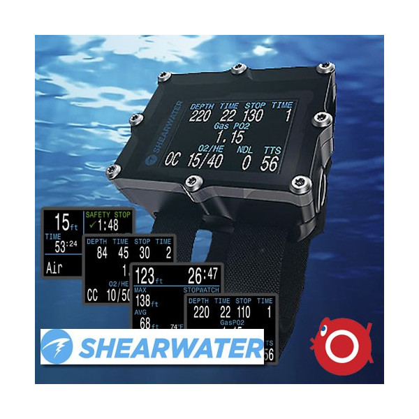 Shearwater Petrel EXT 2