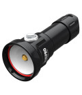 DivePro D40F