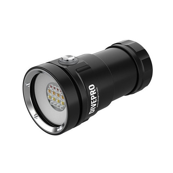 DivePro D80F