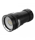 DivePro D80F