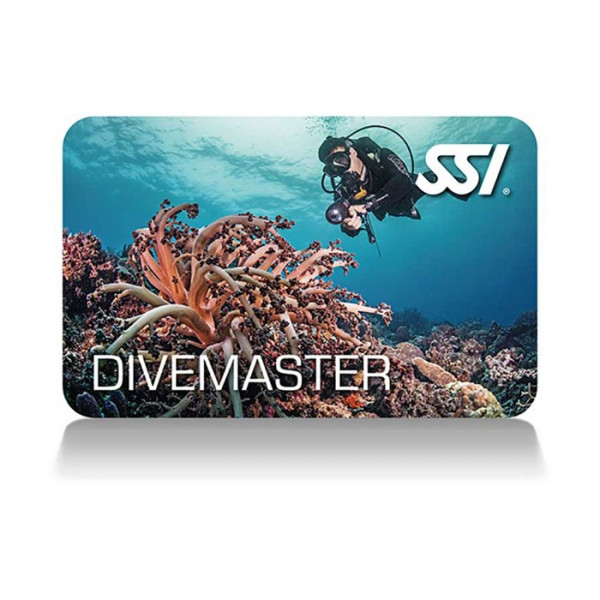 kit-numerique-divemaster-SSI-paris